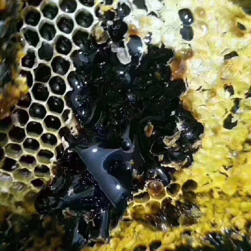 西双版纳野生黑蜂蜜500克/瓶